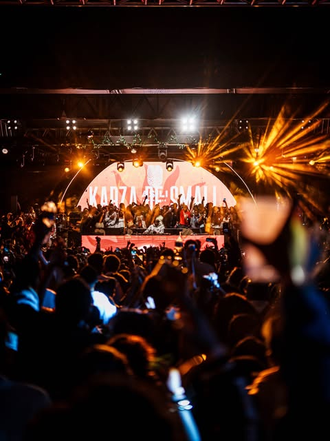 Asili crowd and stage lights